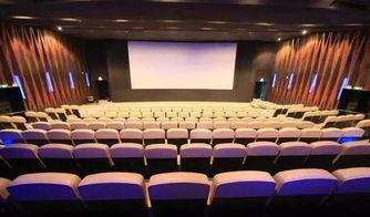 东莞电影院爆料新闻事件,紧急应对与观众安全至上